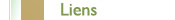 Page Liens n&deg; 1