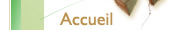 Accueil